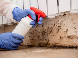 Best Forensic Mold Investigation in Rosemont, PA